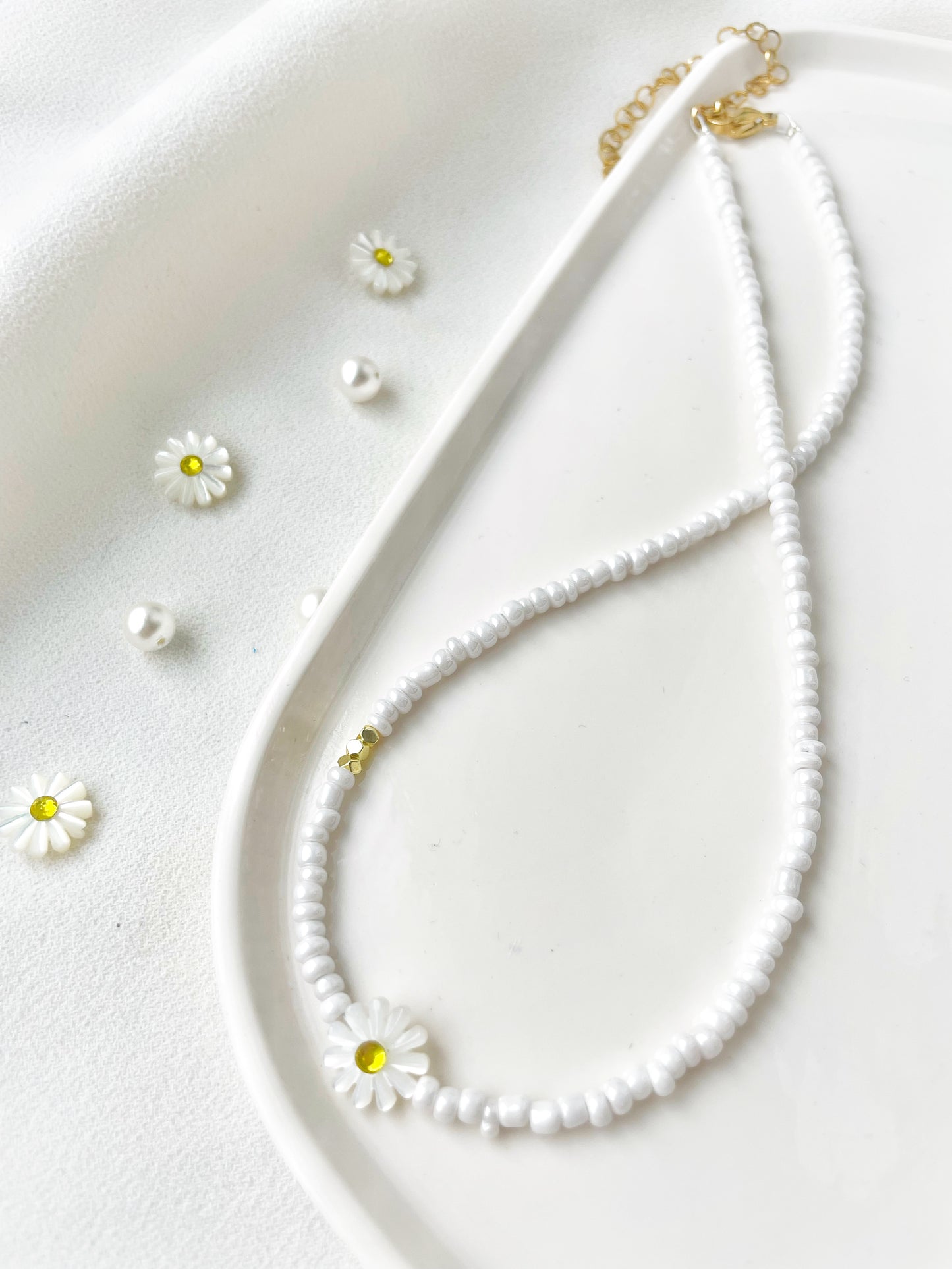 White Daisy