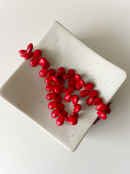 Scarlet Drop Necklace