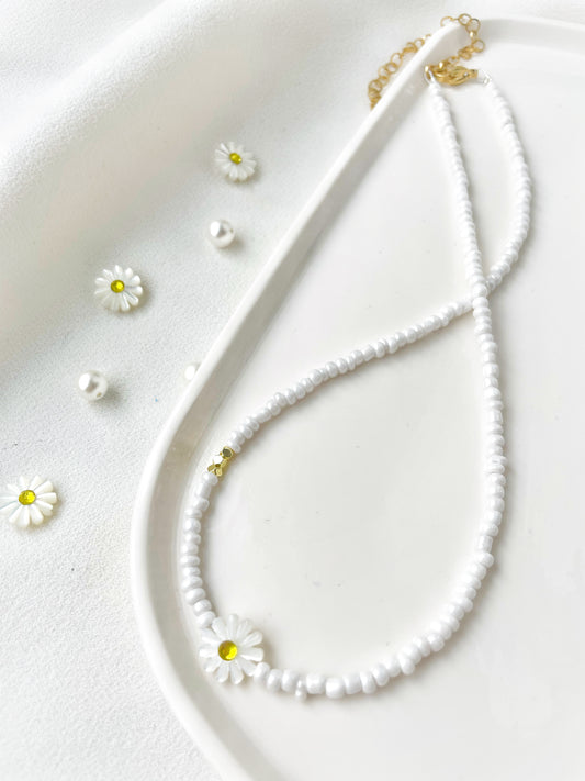 White Daisy
